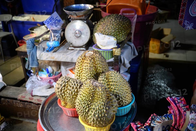 Durian, known as the king of fruits, is a large, spiky tropical fruit famously popular in Thailand and known for its strong, pungent odour, for sale at Maeklong Railway market, Asia