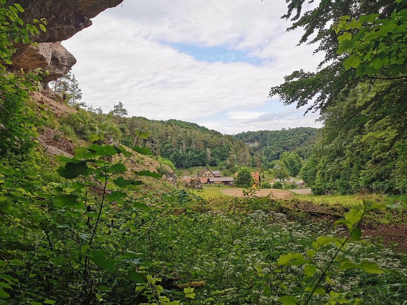 View through dense vegetation of a landscape with meadow, forest and buildings, hiking in the Franconian Forest nature park Park