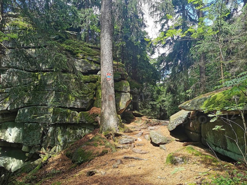 Winding hiking trail through a forest with moss-covered rocks, Franconian mountain trail, hiking in the Fichtelgebirge nature park Park