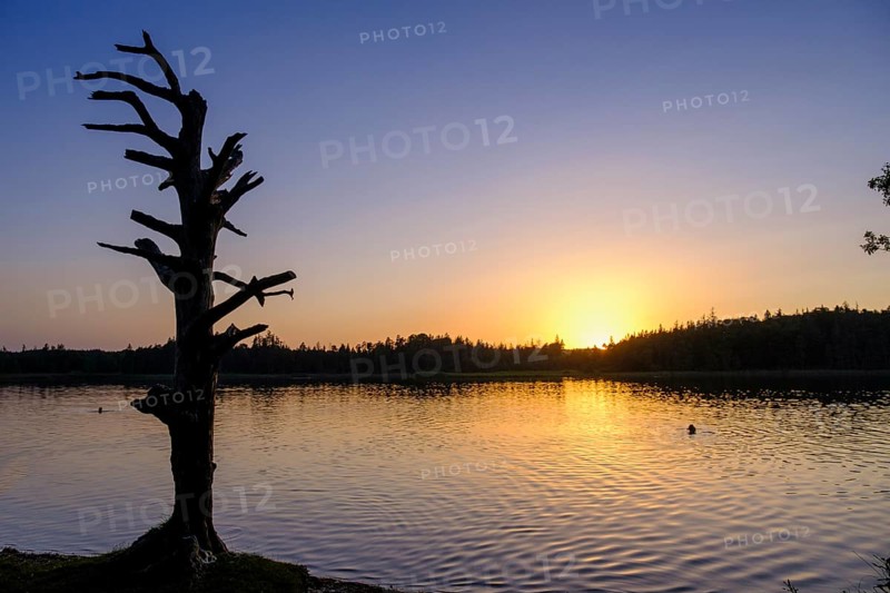 Sunset at Fonsee, Ostersee, near Iffeldorf, Upper Bavaria, Bavaria, Germany