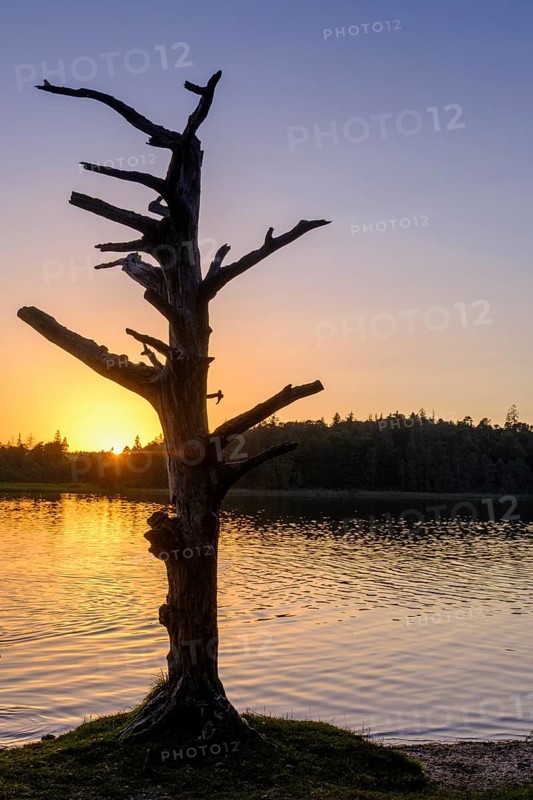 Sunset at Fonsee, Ostersee, near Iffeldorf, Upper Bavaria, Bavaria, Germany