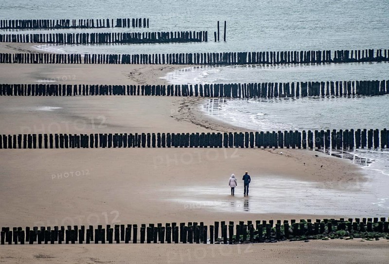Coastal protection, through wooden posts, paalhoofden, on the beach, breakwater, the piles, some of which are rammed into the sandy soil in double rows, slow down the waves and ocean currents and thus slow down the flow rate of seawater, so less sand is washed away from the stand, near Westkapelle, Walcheren peninsula in the Dutch province of Zeeland