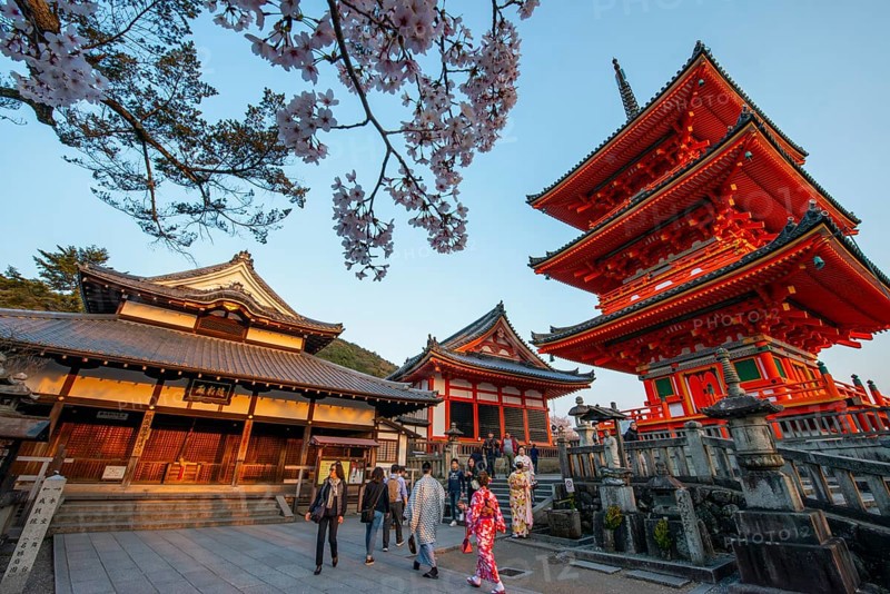 Sanjunoto Pagoda, Zuigu-do and Kyodo Hall in the evening light, Kiyomizu-dera Temple, in the evening light, Buddhist temple complex, Higashiyama, Kyoto