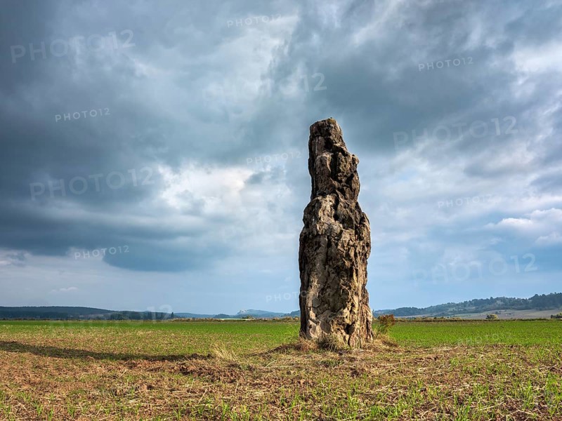 The menhir of Benzingerode, with a height of 3.85 m the largest prehistoric menhir in northern Germany, Wernigerode, Harzvorland, Saxony-Anhalt, Germany