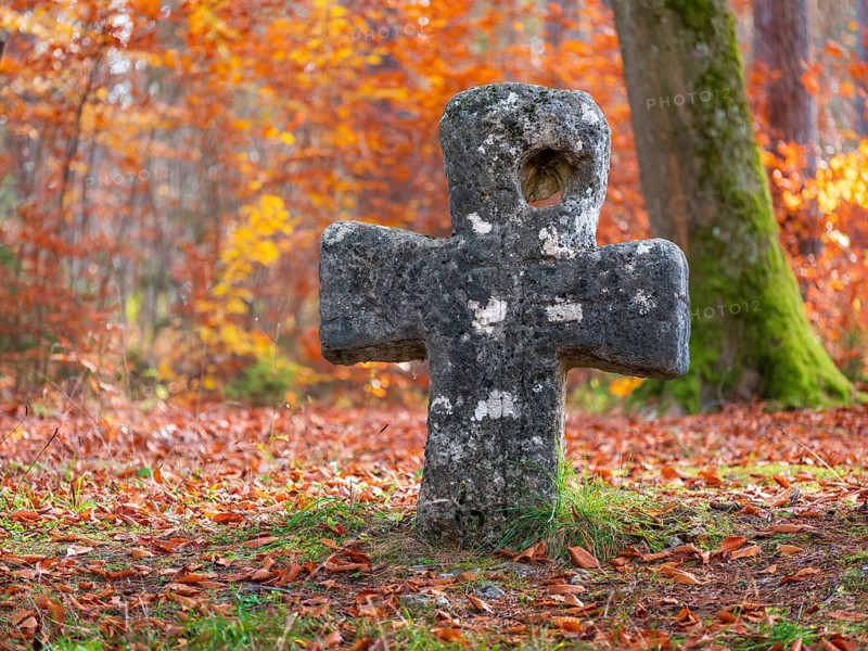 Medieval stone cross in the forest in autumn, atonement cross, murder cross, court cross, Spaal desert, Uhlstädt-Kirchhasel, Thuringia, Germany