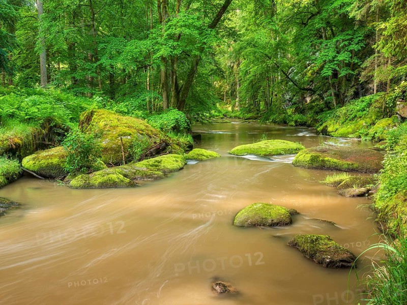 Moss-covered rocks in the Waldnaab river in the Waldnaabtal nature reserve, Falkenberg an der Waldnaab, Upper Palatinate, Bavaria, Germany
