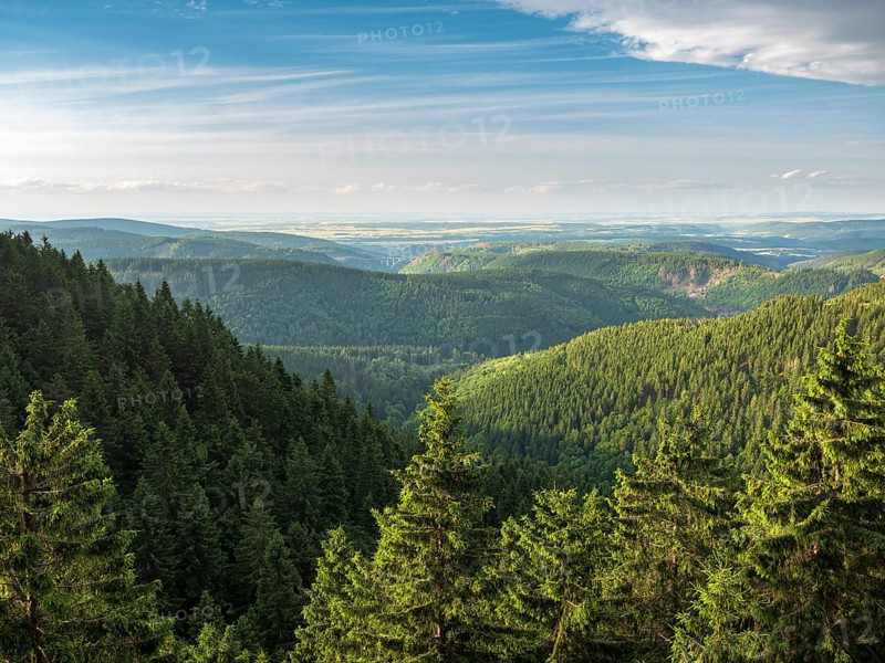 View of endless green forests on Schneekopf in the Thuringian Forest, Gehlberg, Thuringia, Germany