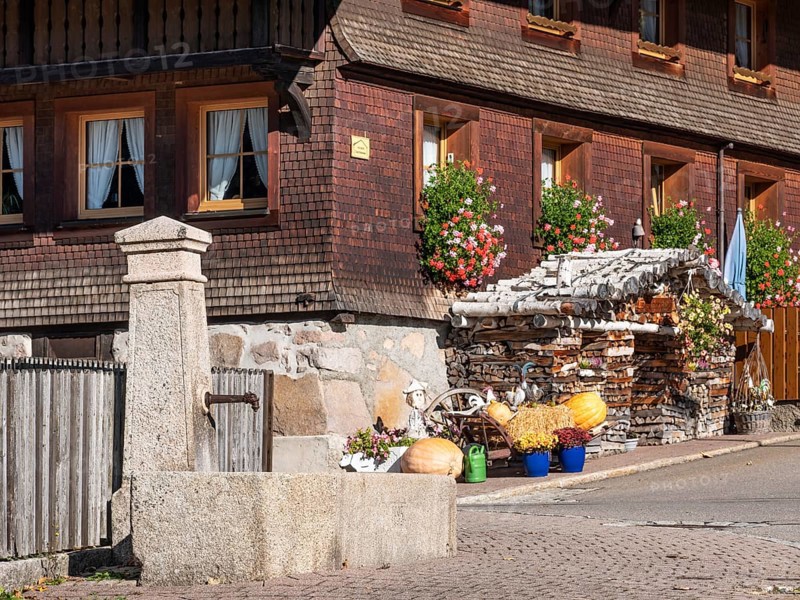 Typical Black Forest house, fountain, window with flowers and firewood in front of the shingle façade, Menzenschwand, Black Forest, Baden-Württemberg, Germany