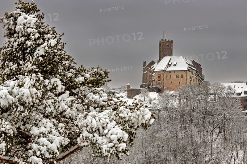 Snowy castle in winter landscape surrounded by snow-covered trees under grey sky, The Wartburg near Eisenach in Thuringia