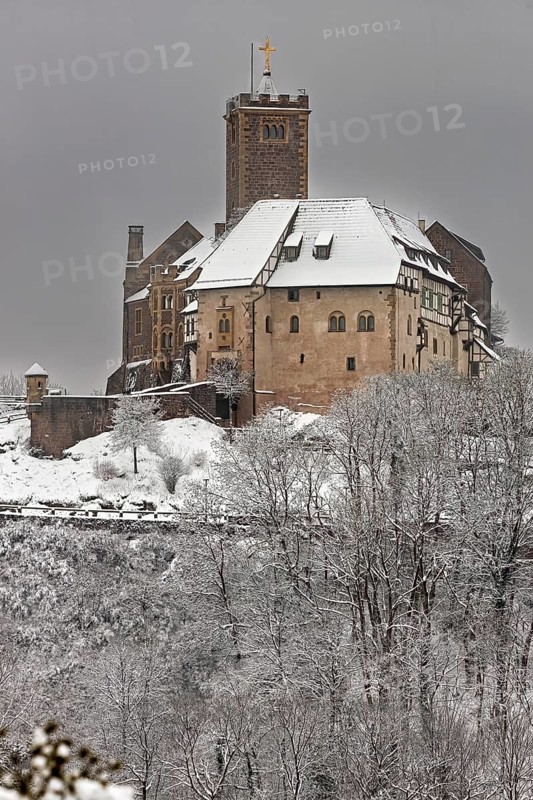 Close-up of a castle in winter, snow-covered trees in the foreground, The Wartburg near Eisenach in Thuringia