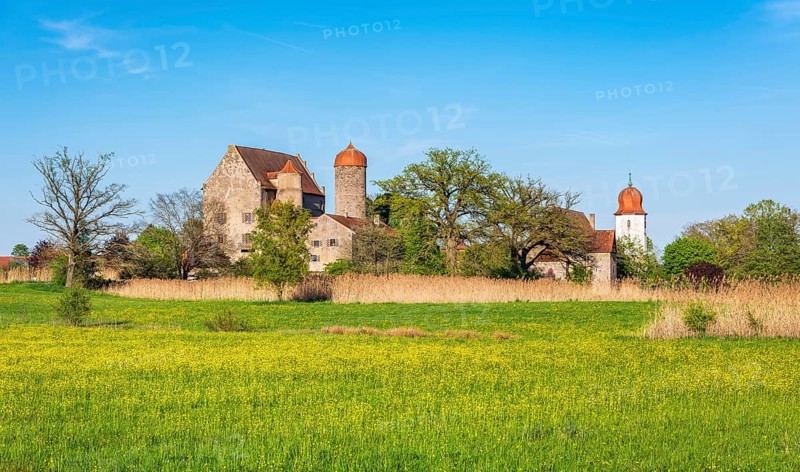 View over wildflower meadow at Sommersdorf Castle near Burgoberbach in the Altmühltal, Middle Franconia, Bavaria, Germany