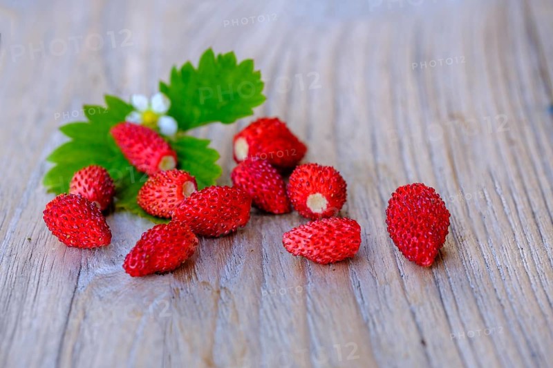 Walderdbeeren, Fruits, Food, Upper Bavaria, Bavaria, Germany