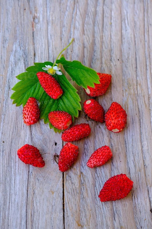 Walderdbeeren, Fruits, Food, Upper Bavaria, Bavaria, Germany