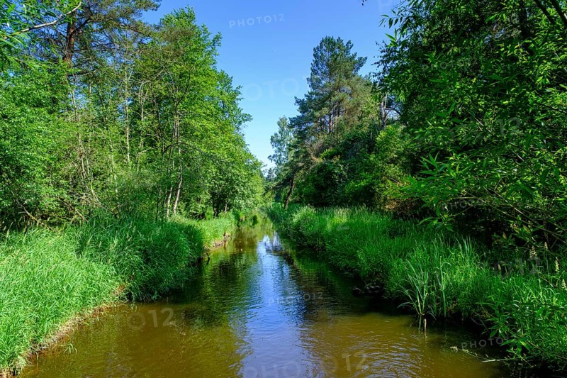 Zillhamer Achen, Moorlehrpfad Freimoos, bei Amerang, Chiemgau, Upper Bavaria, Bavaria, Germany