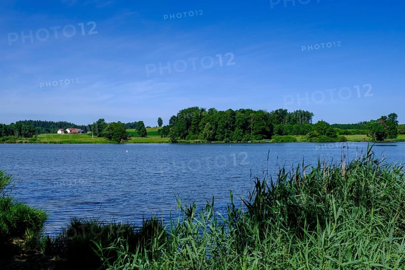 Obersee bei Kißlegg, Upper Swabia, Swabia, Baden-Württemberg, Germany