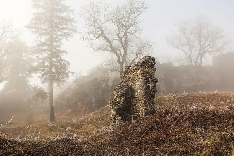 Fog-shrouded ruins in a wintry landscape with bare trees, Mägdeberg castle ruins, volcanic landscape, Hegau, Mühlhausen-Ehingen, district of Konstanz, Baden-Württemberg, Germany