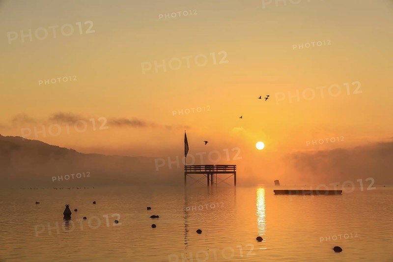 Überlinger See at sunrise with a jetty and flying birds in fog, Lake Constance, Bodman-Ludwigshafen, Konstanz district, Baden-Württemberg, Germany