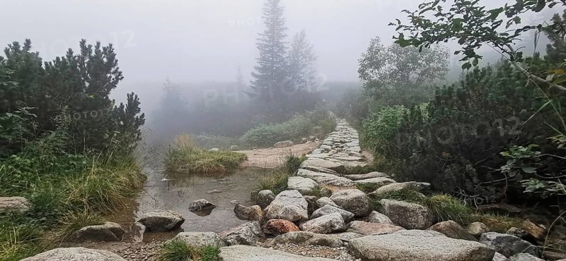Stone trail leads through foggy, wooded landscape with water, Zakopane, hiking to Kasprowy Wierch in the High Tatras National Park, Carpathian Mountains, Poland