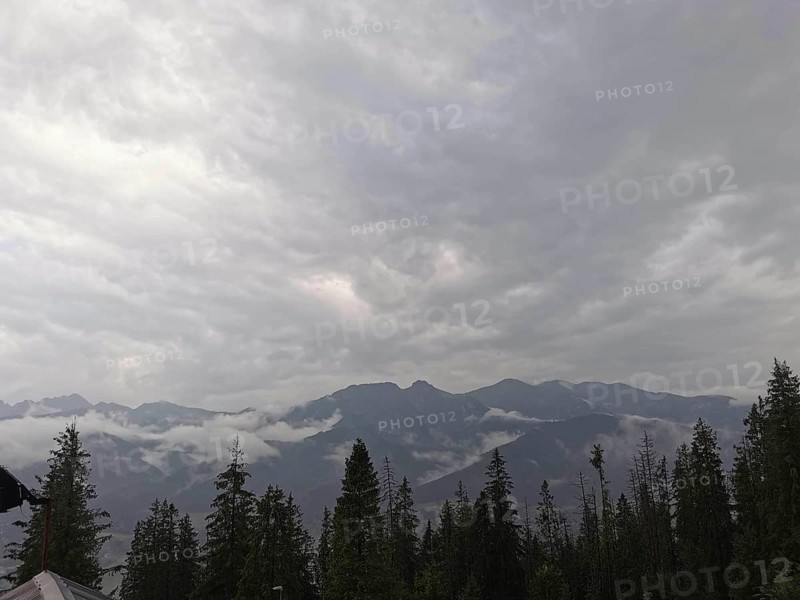 View of a mountainous landscape with clouds and conifers wrapped in fog, Zakopane, hiking in the High Tatras National Park, Carpathian Mountains, Poland
