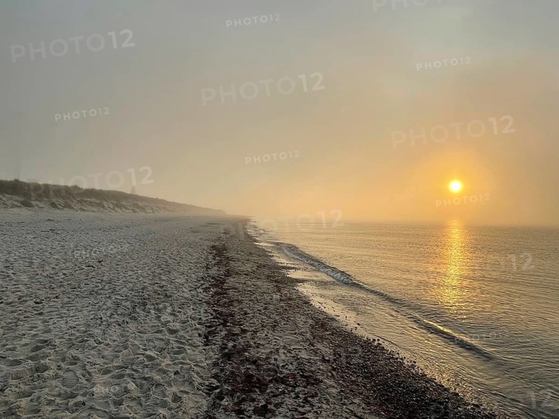 Sunset, fog on the beach in the Western Pomerania Lagoon Area National Park, Darss-Zingster Bodden Range, Baltic Sea, peninsula, nature, autumn, nature reserve, Fischland-Darß-Zingst, Mecklenburg-Western Pomerania, Germany