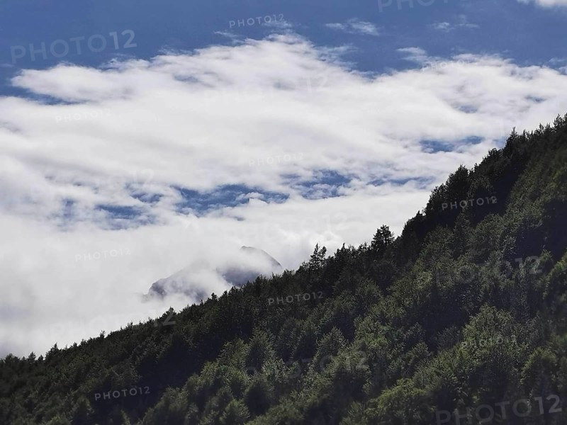 Dense forest, partly covered by foggy clouds, with a view of the blue sky, Peaks of the Balkans, hiking in the Albanian Alps National Park, Albania
