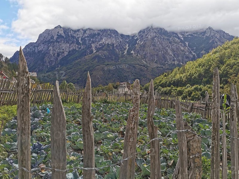 Small vegetable garden surrounded by fences, with mountain views and thick clouds, Peaks of the Balkans, hiking in the Albanian Alps National Park, Albania