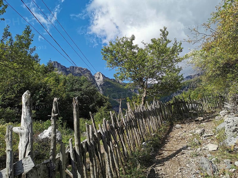 Rustic wooden fence along a trail through wooded area with mountain scenery, Peaks of the Balkans, hiking in the Albanian Alps National Park, Albania