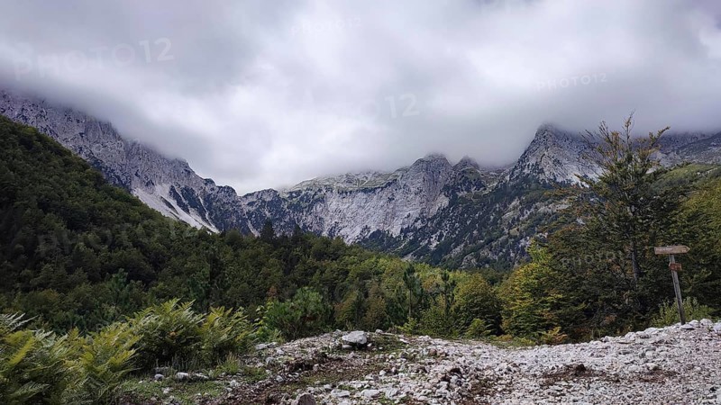 Mountain landscape with fog sweeping over rocky peaks surrounded by thick forest, Peaks of the Balkans, hiking in the Albanian Alps National Park, Albania