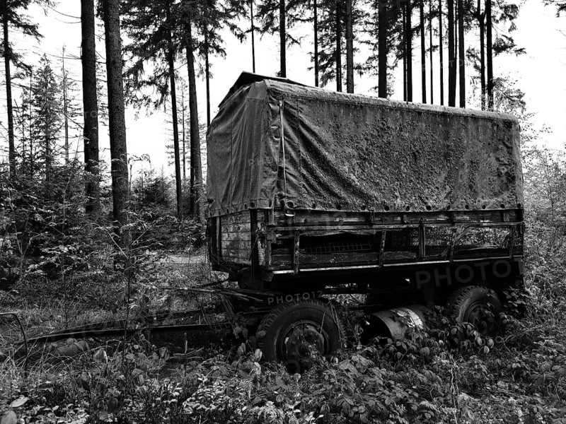 Abandoned wagon in the forest, surrounded by trees, monochrome, Frankenwald nature park Park