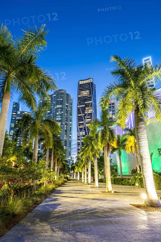 Miami skyline with high-rise real estate at night at Maurice A. Ferre Park in Miami, USA