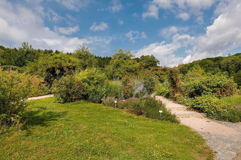 Path, lawn, various plants, flower bed, sky, clouds, Ulm University Botanical Garden, Baden-Württemberg, Germany