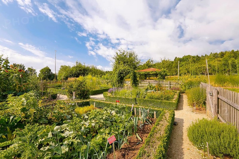 Cottage garden, outdoor area, wooden fence, various crops, flower bed, path, Ulm University Botanical Garden, Baden-Württemberg, Germany