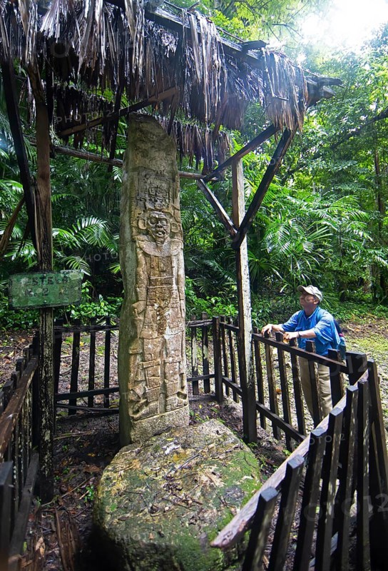 Guatemalan man from the Mayan people looks at a hieroglyphic stele in the Seibal or El Ceibal archaeological site, ruined Mayan city in the rainforest or jungle, lowlands, Petén Department, Guatemala