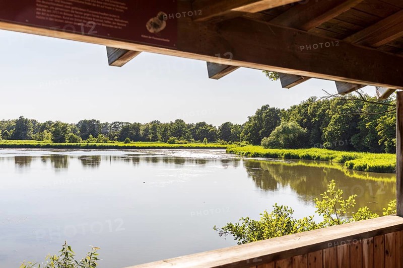 View from Brösaer Teich observation tower, Guttauer Teiche, Oberlausitzer Heide- und Teichlandschaft, Guttau, Saxony, Germany