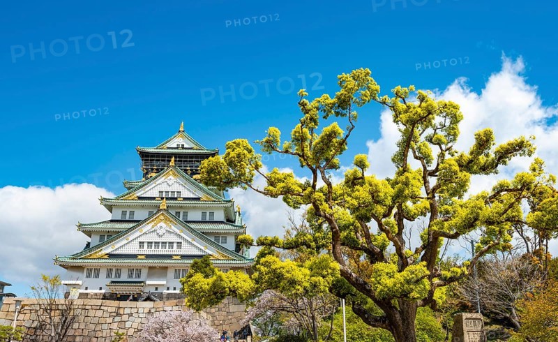 Osaka castle among trees in the park, Osaka Castle Park, Chuo-ku, Osaka, Japan