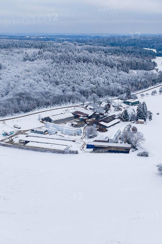Snowy landscape with farm surrounded by forests and fields under grey skies, Haselstaller Hof, Gechingen, Calw district, Germany