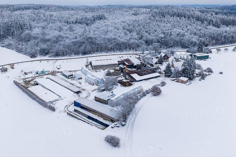Snow-covered farm in an open winter landscape, surrounded by forests, Haselstaller Hof, Gechingen, Calw district, Germany