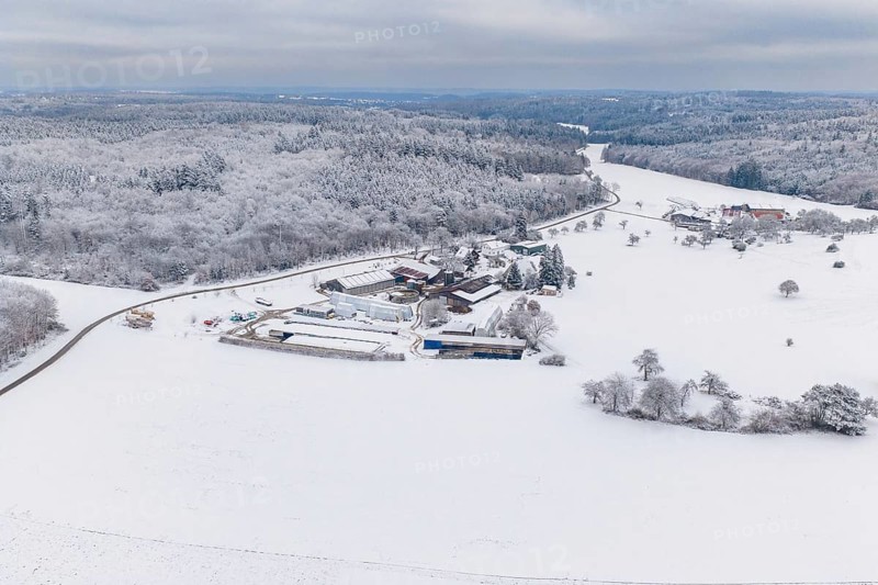Snowy field with forest in the background under cloudy sky, Haselstaller Hof, Gechingen, Calw district, Germany