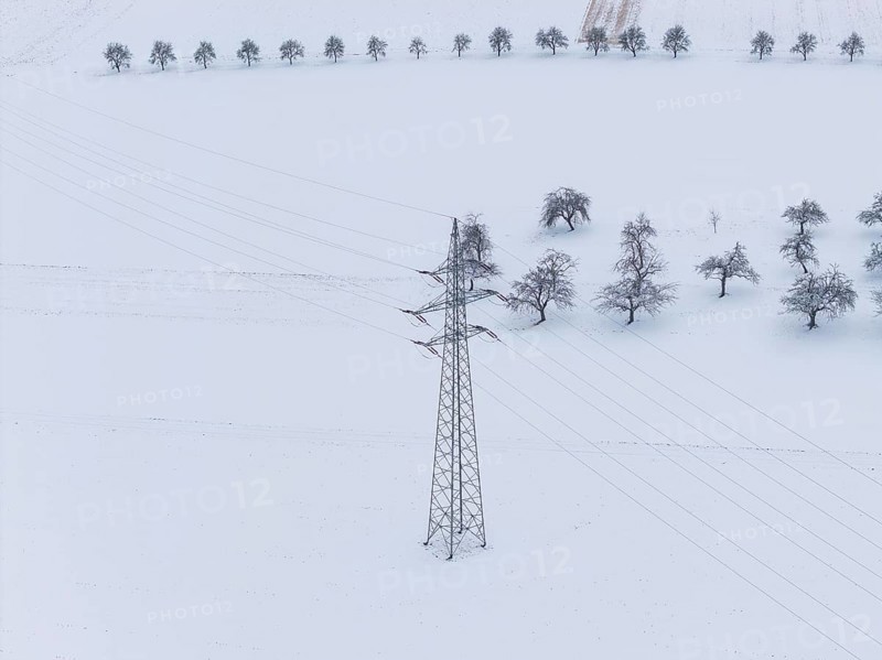 Single power pole on a white snowfield with scattered trees in the background, substation, Jettingen, Germany