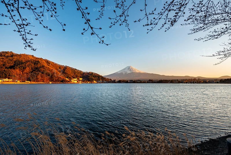 Lake Kawaguchi, view of Mount Fuji volcano at sunset, Yamanashi Prefecture, Japan