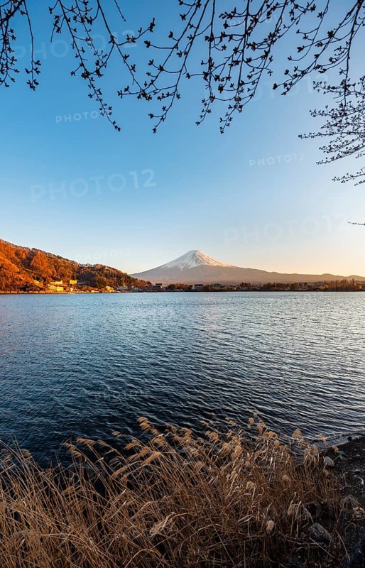 Lake Kawaguchi, view of Mount Fuji volcano at sunset, Yamanashi Prefecture, Japan