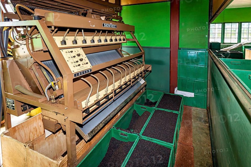 Industrial machine in a factory with green containers standing in an interior, tea factory in the mountains near Kandy Sri Lanka