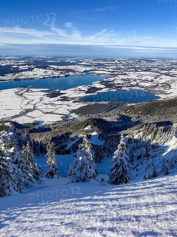 View of Forggensee and Bannwaldsee with snow in winter, ski tour on Tegelberg in winter, Schwangau, Allgäu Alps, Bavaria, Germany
