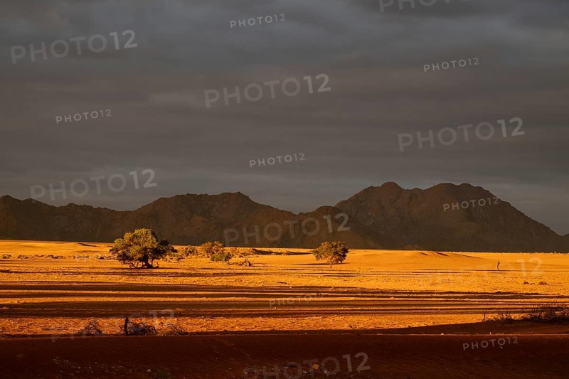 Evening in Namib Naukluft National Park