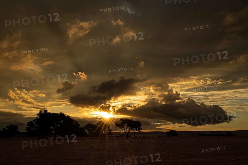 Sunset in Namib Naukluft National Park
