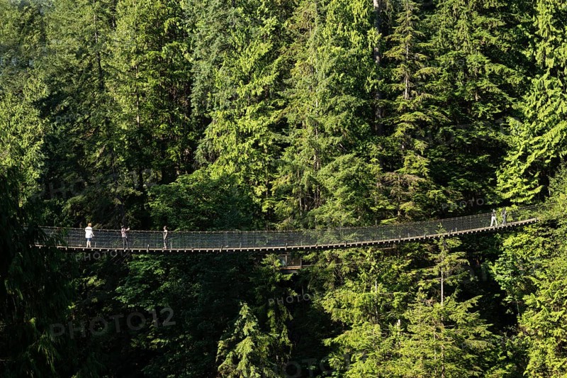 The Capilano Suspension Bridge, suspension bridge, tourist attraction, Vancouver