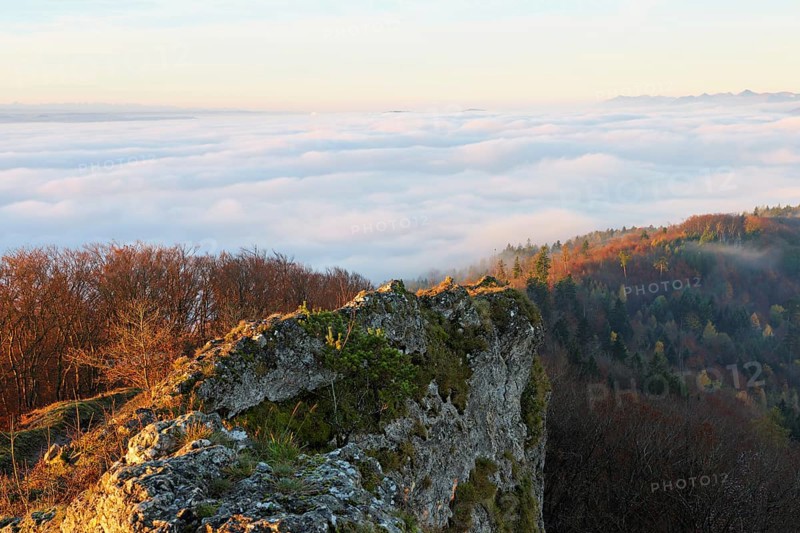 View of the sea of fog from Gisliflue, in morning light, Talheim, Canton, Aargau, Switzerland