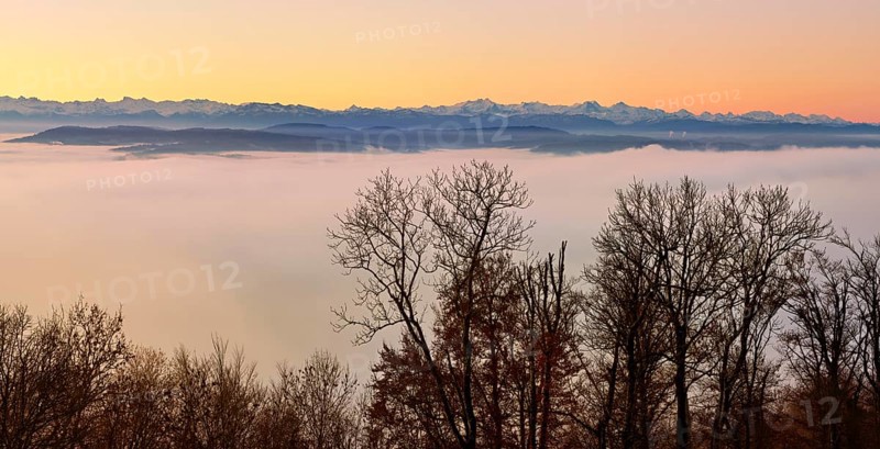 Snowy Alps over a sea of fog in morning light, Talheim, Aargau Canton, Switzerland