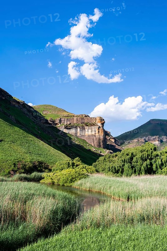 Grassland with sandstone cliffs and cliffs, landscape in Golden Gate Highlands National Park, Free State, South Africa