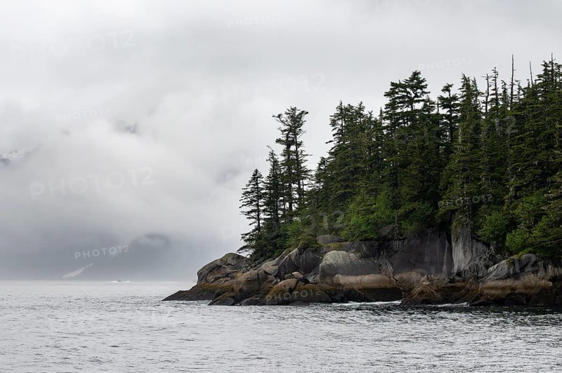 Rocky coast with coniferous forest, coastal landscape, mystical cloud-covered mountains, Kenai Fjords National Park, Kenai Peninsula, Alaska, USA